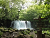 dsc01952a.jpg